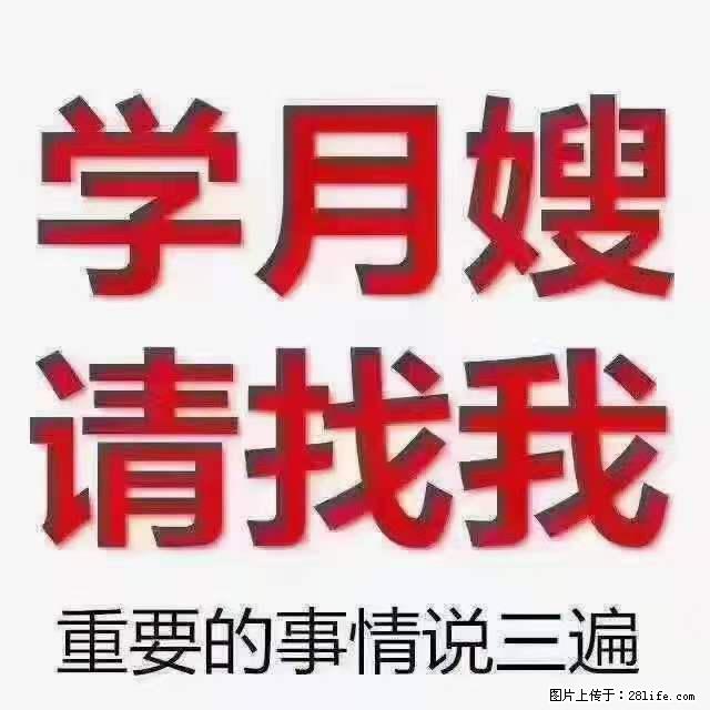 为什么要学习月嫂，育婴师？ - 其他广告 - 广告专区 - 台州分类信息 - 台州28生活网 tz.28life.com