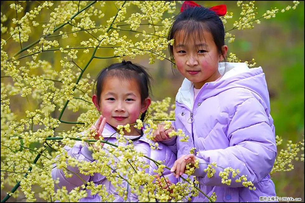 【春天,广西桂林灌阳县向您发出邀请!】米珠山前有片山苍子花在飘香 - 游山玩水 - 台州生活社区 - 台州28生活网 tz.28life.com