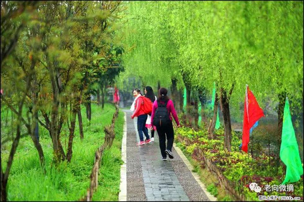 【春天,广西桂林灌阳县向您发出邀请!】江口老街又逢春 - 游山玩水 - 台州生活社区 - 台州28生活网 tz.28life.com