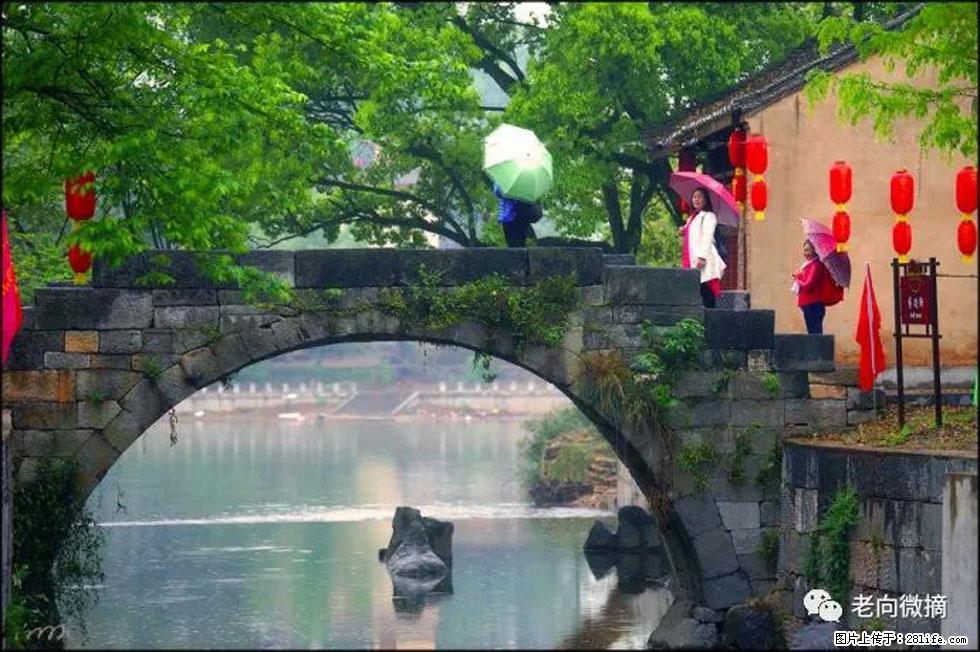 【春天,广西桂林灌阳县向您发出邀请!】江口老街又逢春 - 游山玩水 - 台州生活社区 - 台州28生活网 tz.28life.com