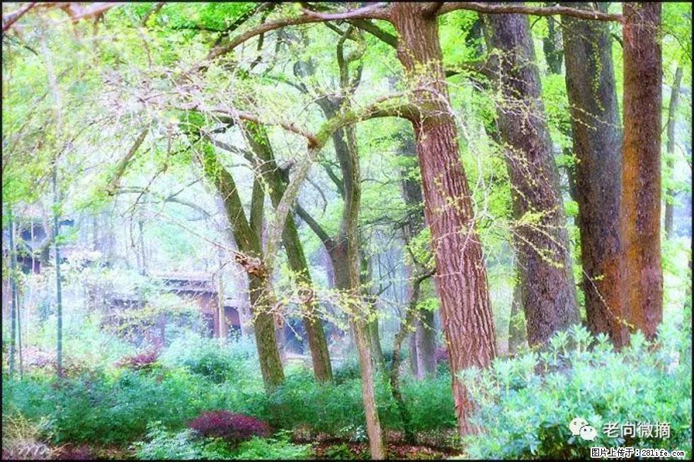 【春天,广西桂林灌阳县向您发出邀请!】在小龙村与春天约会 - 游山玩水 - 台州生活社区 - 台州28生活网 tz.28life.com