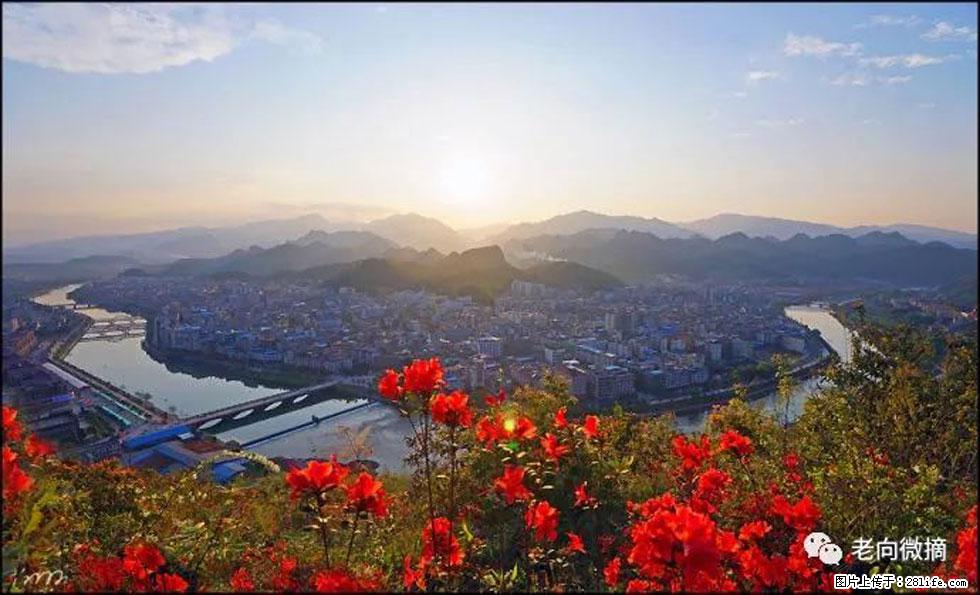 【春天,广西桂林灌阳县向您发出邀请!】登麒麟山,相约映山红 - 游山玩水 - 台州生活社区 - 台州28生活网 tz.28life.com