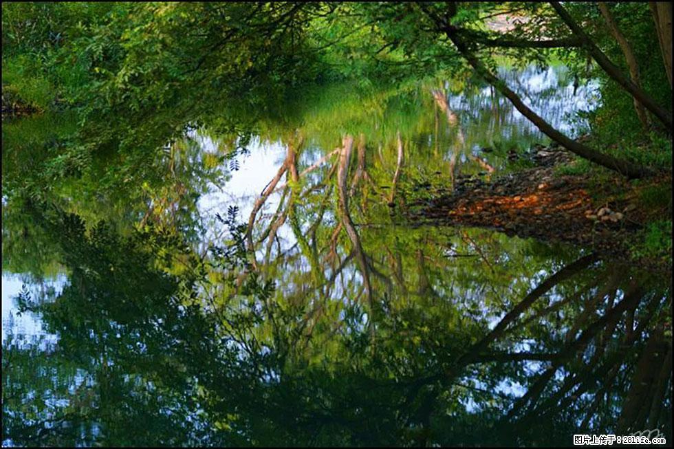 【春天,广西桂林灌阳县向您发出邀请!】熊家寨湿地公园 - 游山玩水 - 台州生活社区 - 台州28生活网 tz.28life.com