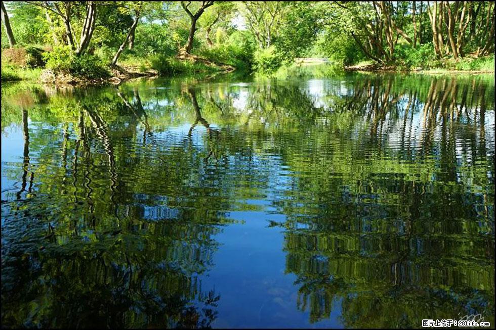 【春天,广西桂林灌阳县向您发出邀请!】熊家寨湿地公园 - 游山玩水 - 台州生活社区 - 台州28生活网 tz.28life.com