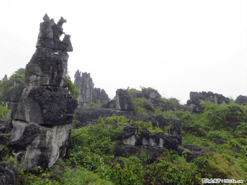 桂林旅游名城景点：灌阳文市石林 - 游山玩水 - 台州生活社区 - 台州28生活网 tz.28life.com