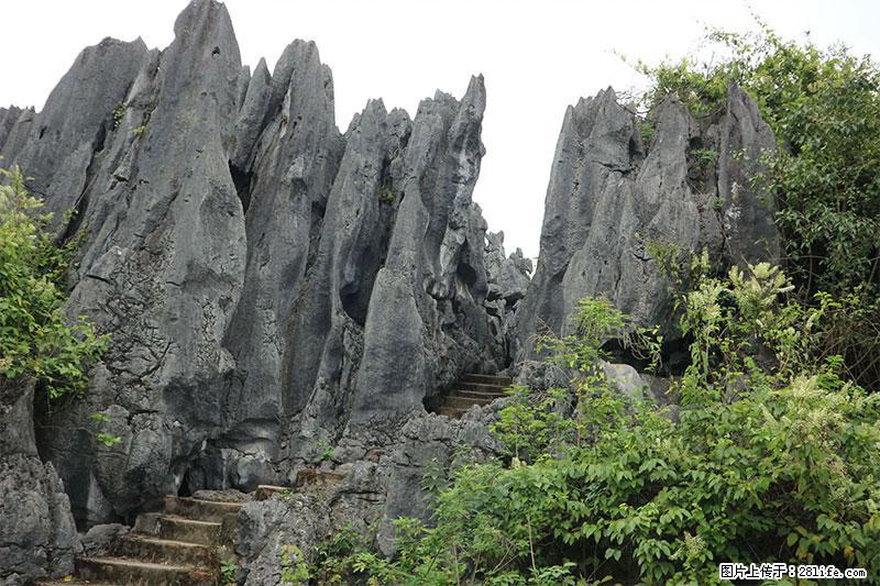 桂林旅游名城景点：灌阳文市石林 - 游山玩水 - 台州生活社区 - 台州28生活网 tz.28life.com