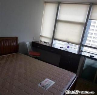椒江 巨鼎国际 精装修 现代简约风格 只要1000 速度速度 - 台州28生活网 tz.28life.com