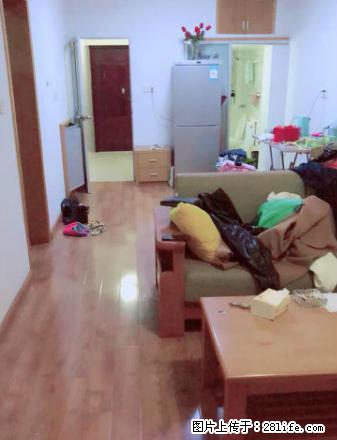 急租 金鼎苑 熙苑小区 横河新村 中山西路 - 房屋出租 - 房屋租售 - 台州分类信息 - 台州28生活网 tz.28life.com