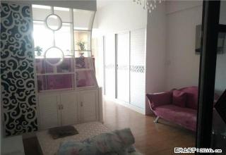 椒江 星星广场对面 君悦大厦一室一厅一卫豪华装修拎包入住 - 台州28生活网 tz.28life.com