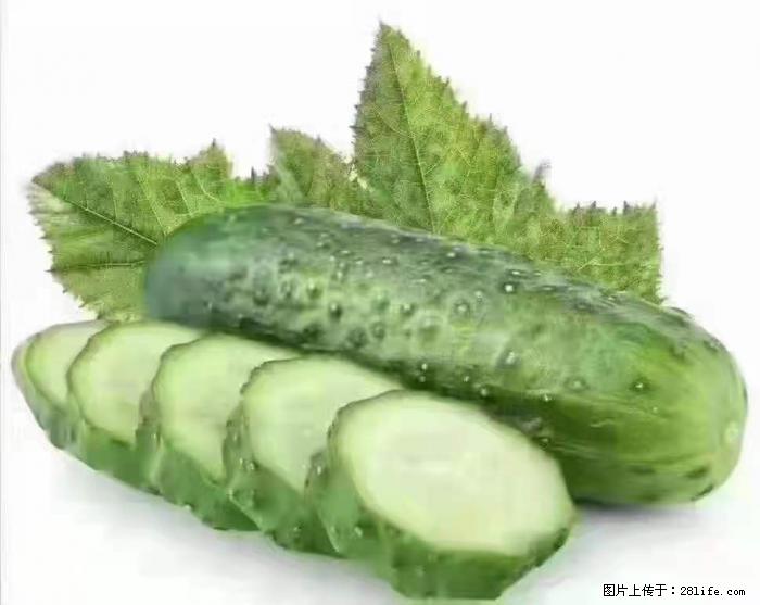 【生活小常识】吃黄瓜的好处 - 生活百科 - 台州生活社区 - 台州28生活网 tz.28life.com