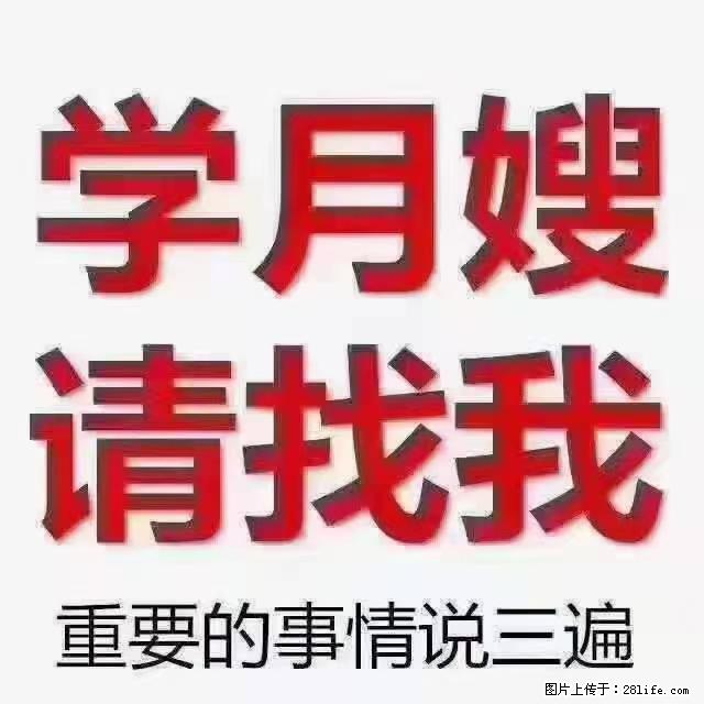 【招聘】月嫂,上海徐汇区 - 职场交流 - 台州生活社区 - 台州28生活网 tz.28life.com