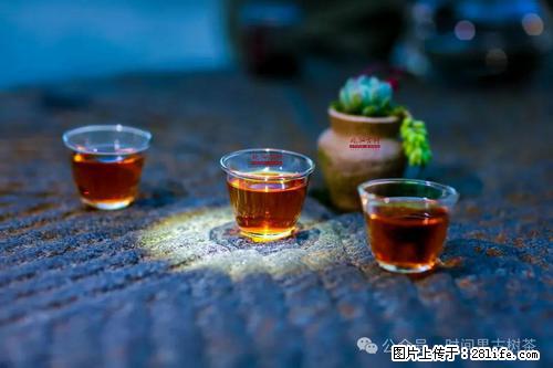 时间果百年古树2025年春红茶 - 购物交流 - 台州生活社区 - 台州28生活网 tz.28life.com