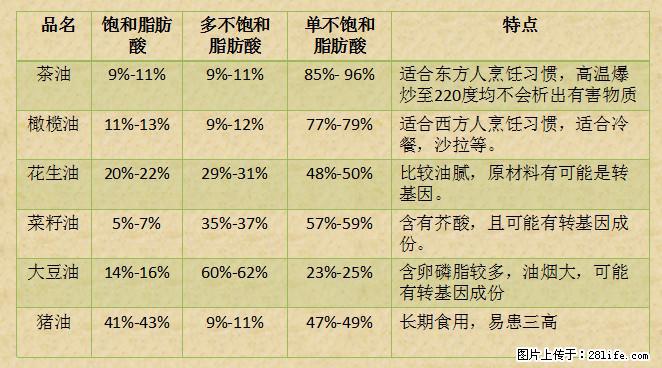 揭秘茶油的5大核心营养成分!被称为人体健康的“守护盾”! - 台州生活资讯 - 台州28生活网 tz.28life.com