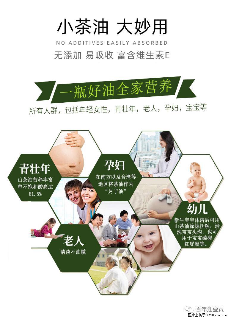世界没有真相,只有认知,最好的食用油是中国的山茶油! - 台州生活资讯 - 台州28生活网 tz.28life.com