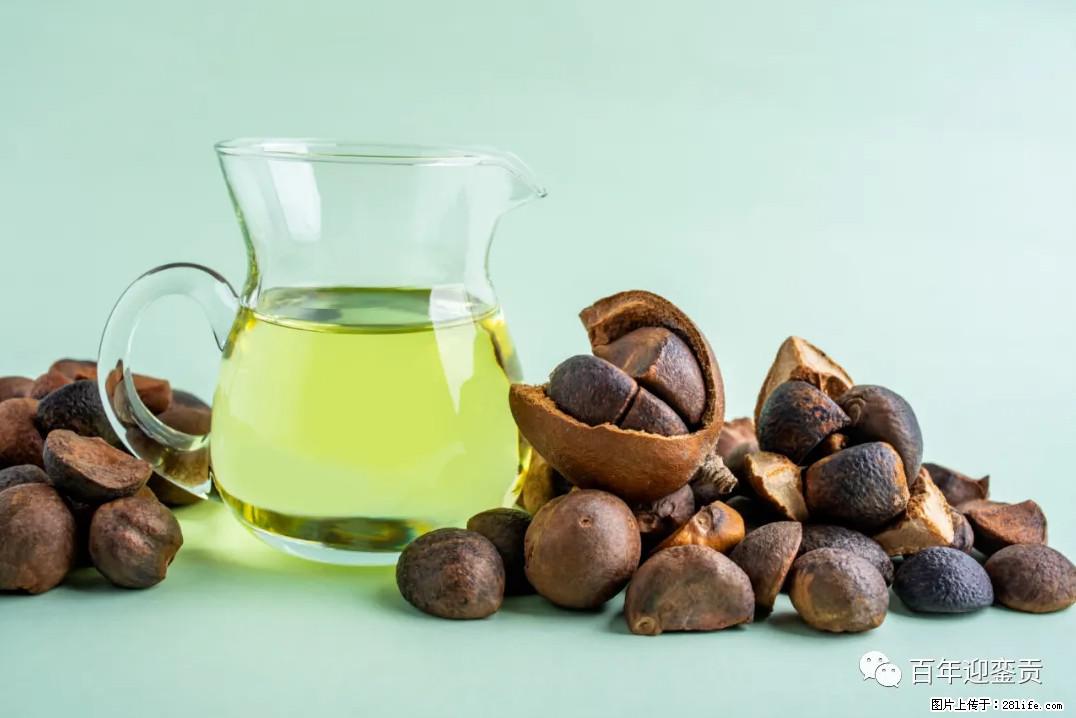世界没有真相,只有认知,最好的食用油是中国的山茶油! - 台州生活资讯 - 台州28生活网 tz.28life.com