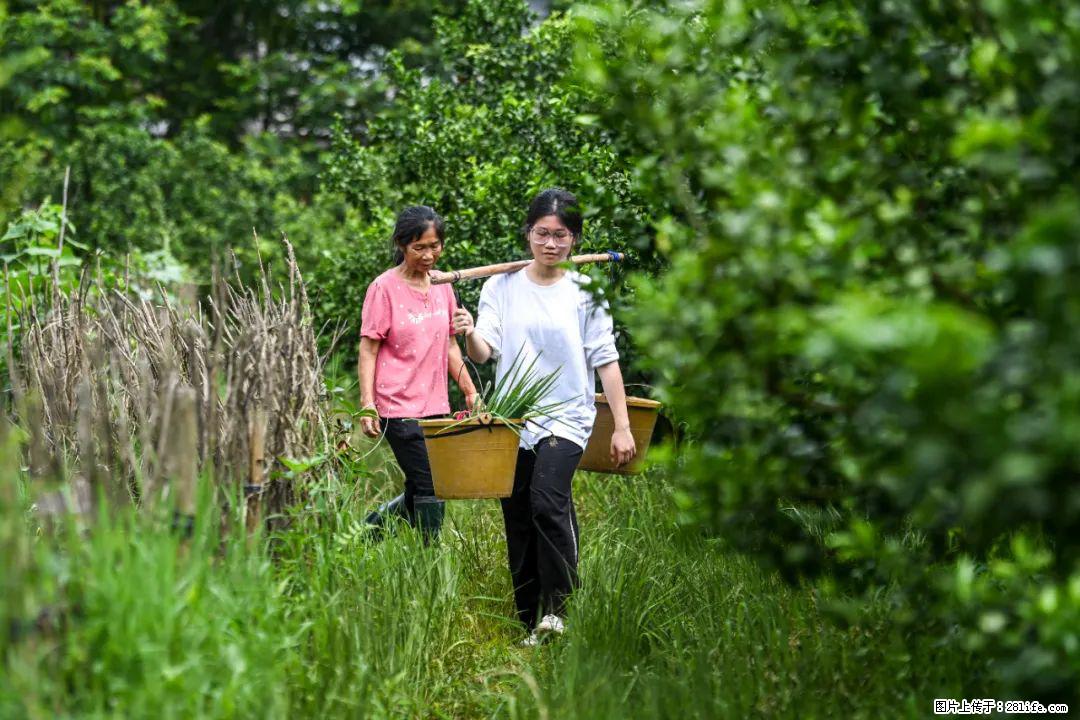 全网追的“扁担女孩”,找了一份暑假工,时薪12元 - 台州生活资讯 - 台州28生活网 tz.28life.com