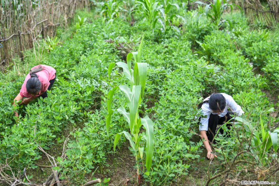 全网追的“扁担女孩”,找了一份暑假工,时薪12元 - 台州生活资讯 - 台州28生活网 tz.28life.com