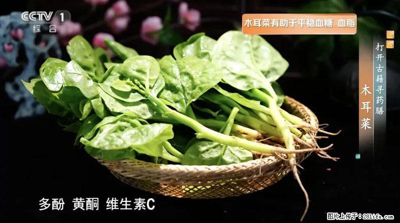 比牛奶补钙还厉害！凉血解毒、稳血糖...这菜冬天必吃，很多人却当草 - 台州生活资讯 - 台州28生活网 tz.28life.com