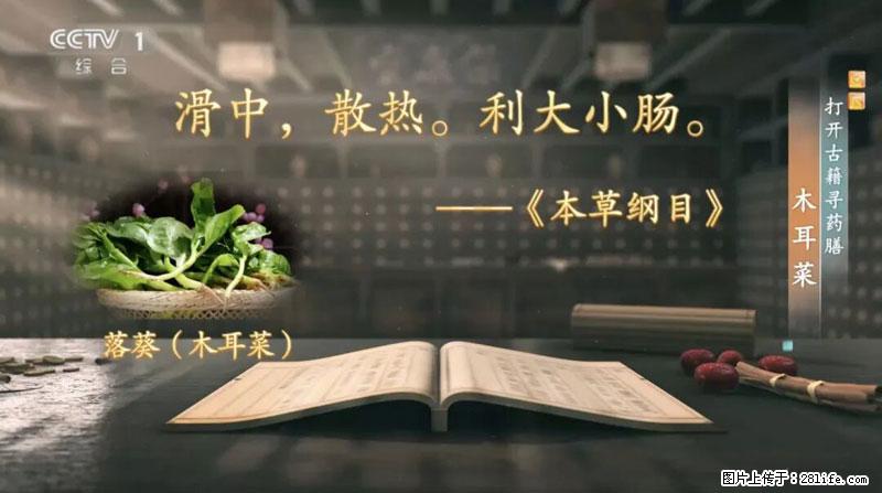 比牛奶补钙还厉害！凉血解毒、稳血糖...这菜冬天必吃，很多人却当草 - 台州生活资讯 - 台州28生活网 tz.28life.com