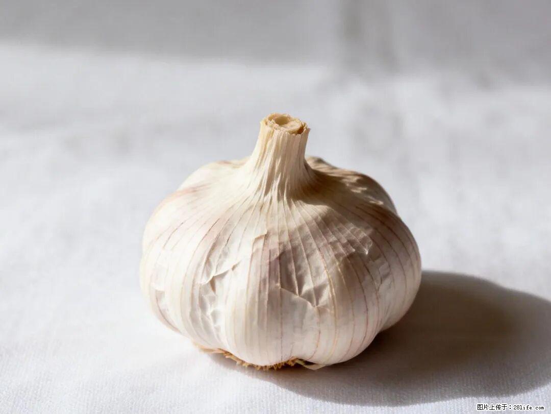 关于大蒜，除了“天然抗生素”，这4个谣言更该警惕! - 台州生活资讯 - 台州28生活网 tz.28life.com
