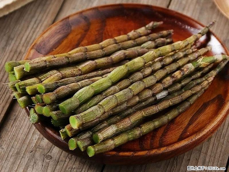 铁皮石斛的作用与功能主治 - 台州生活资讯 - 台州28生活网 tz.28life.com