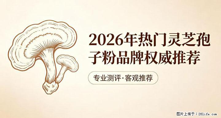 灵芝孢子粉含量越高越有效？2026 年七款热门品牌深度实测，肠胃敏感者避坑指南 - 台州生活资讯 - 台州28生活网 tz.28life.com